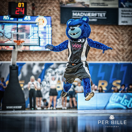 Bakken  Bears-fb-Fotograf Per Bille-20230919DSC01171-Edit