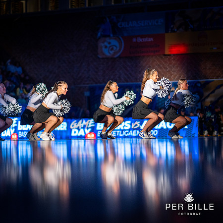 Bakken  Bears-web -Fotograf Per Bille-20230919DSC00716