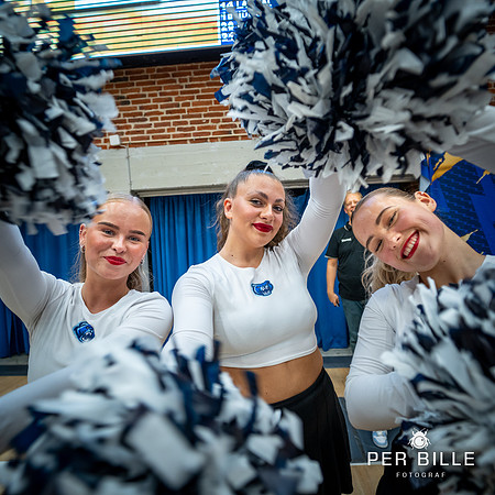 Bakken  Bears-web -Fotograf Per Bille-20230919DSC00794
