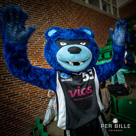 Bakken  Bears-web -Fotograf Per Bille-20230919DSC00852