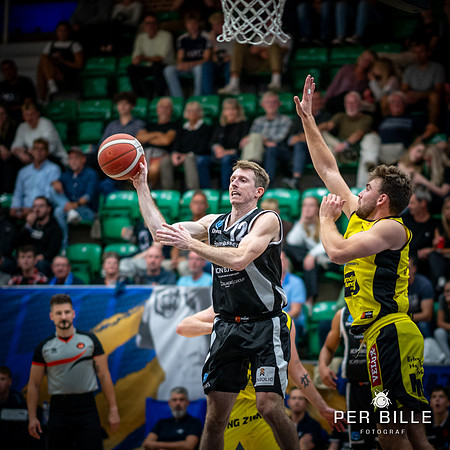 Bakken  Bears-web -Fotograf Per Bille-20230919DSC00899