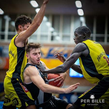 Bakken  Bears-web -Fotograf Per Bille-20230919DSC00974