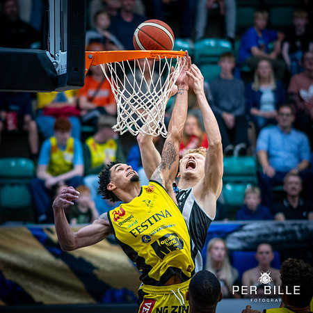 Bakken  Bears-web -Fotograf Per Bille-20230919DSC01066