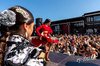 Flamenco - fregatten jylland-web m logo -Fotograf Per Bille-220824-DSA00596