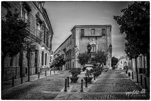 Jerez, Spain-web - Fotograf Per Bille-20211010-DSC04769-Edit