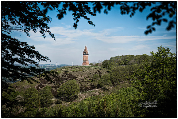 Himmelbjerget- web - fotograf Per Bille-20180508-04960