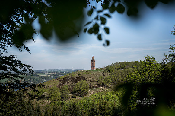 Himmelbjerget- print- fotograf Per Bille-20180508-04952-2