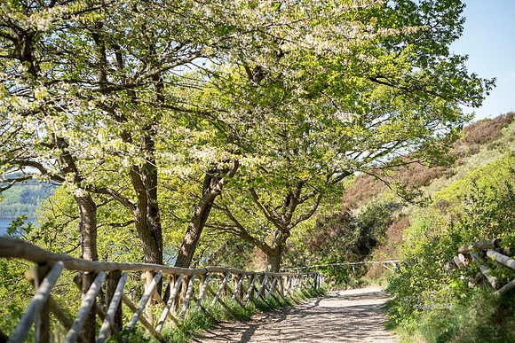 Himmelbjerget- web - fotograf Per Bille-20180508-05072