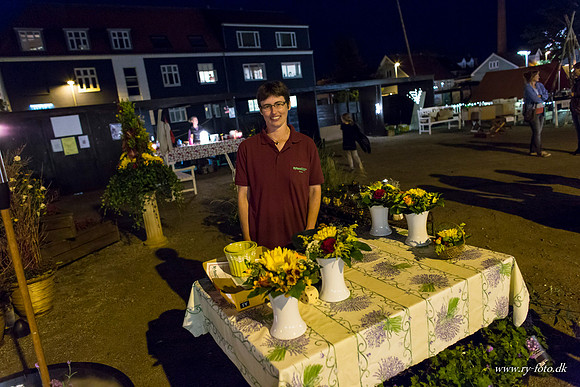 Ry by night 2012-8433