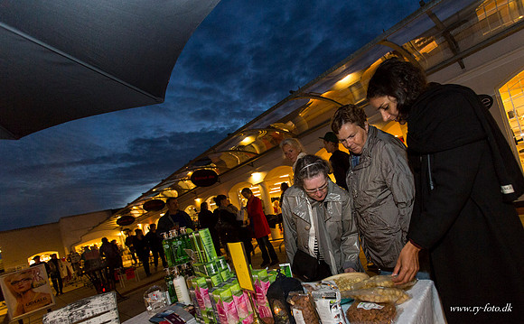 Ry by night 2012-8407