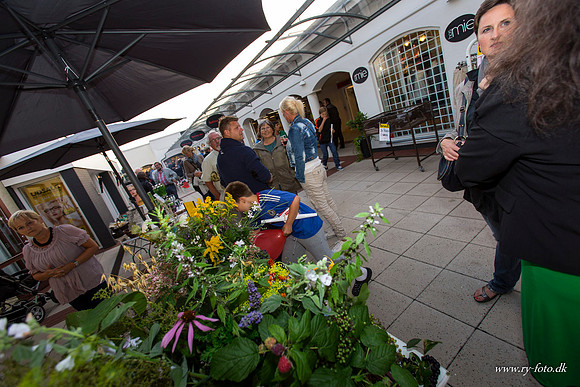 Ry by night 2012-8291