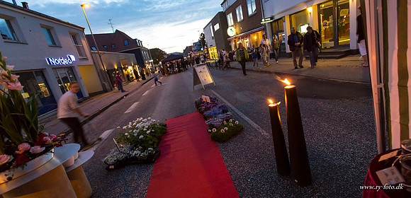 Ry by night 2012-8382