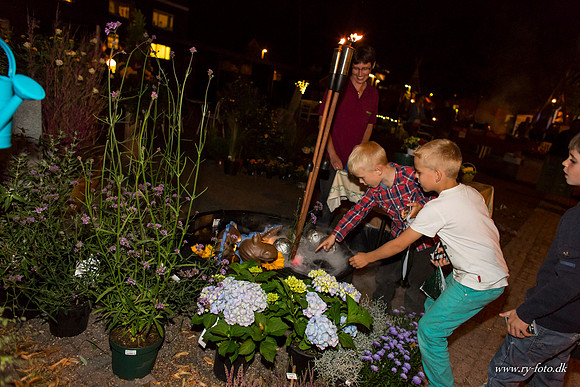 Ry by night 2012-8440