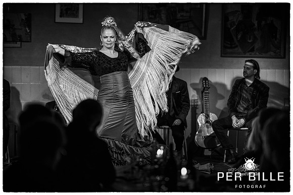 Flamenco og Sherry Alken-fb- passport-fotograf Per Bille-240202-DSC06053-Edit
