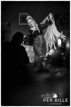 Flamenco og Sherry Alken-fb- passport-fotograf Per Bille-240202-DSC06068-Edit