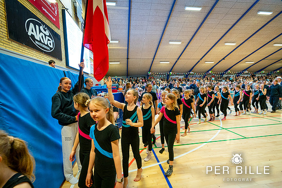 Opvisning - Ry-WEB-Fotograf Per Bille-20240308DSA05007