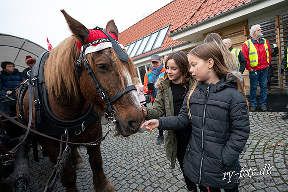 Juletræestænding Ry 2019  - web  - Fotograf Per Bille-20191117-00602