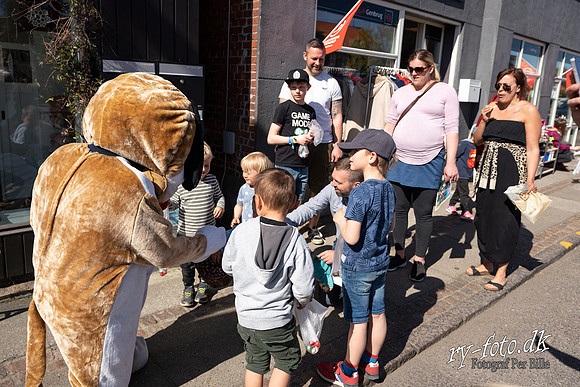 Ægge jagt - web - Fotograf Per Bille-20190420-09355