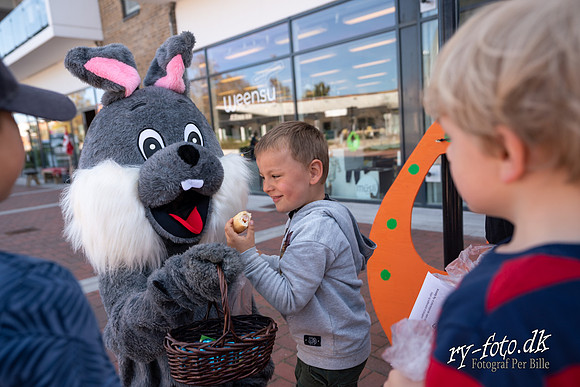 Ægge jagt - web - Fotograf Per Bille-20190420-09367