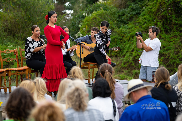 Flamenco - Nøset-print - Fotograf Per Bille-20220821DSC02793