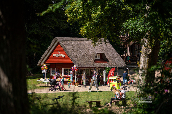 Himmelbjerget - print- Fotograf_Per_Bille-20200804-05564