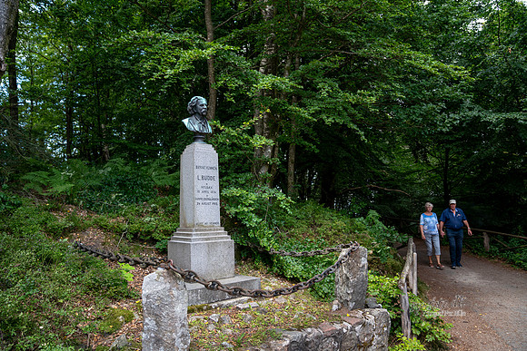 Himmelbjerget - print- Fotograf_Per_Bille-20200804-05485