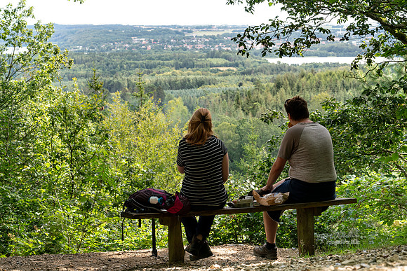 Himmelbjerget - print- Fotograf_Per_Bille-20200804-05517