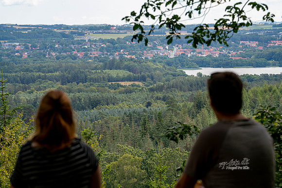 Himmelbjerget - print- Fotograf_Per_Bille-20200804-05520