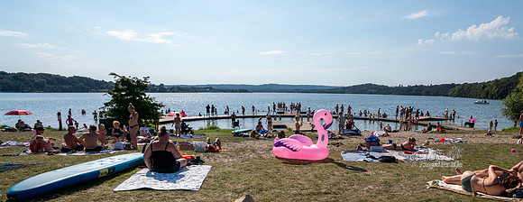 Ry - print - Fotograf_Per_Bille-20200809-08889