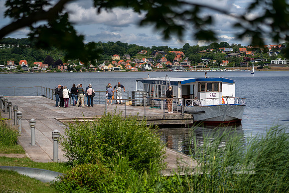 Dagmar - skanderborg sø- print - Fotograf Per Bille-20200709-00497