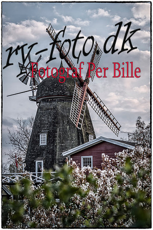 Ry - fuld opløsning - Fotograf Per Bille-20180502-01918