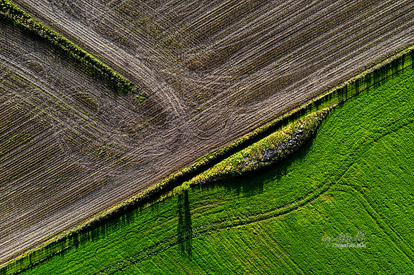 Alling - print -Fotograf_Per_Bille-20201011-0108