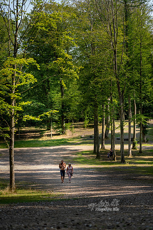 Dyrehaven anno 2020 - print - Fotograf Per Bille-20200809-08620
