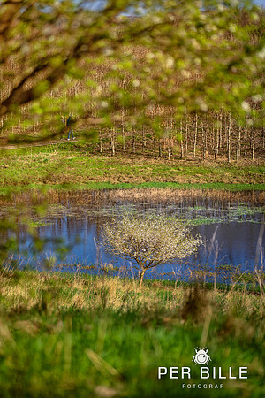 -Lweb - Fotograf Per Bille-20240414DSC07404-Edit