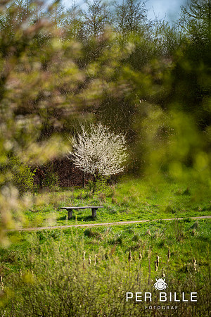 -Lweb - Fotograf Per Bille-20240414DSC07449