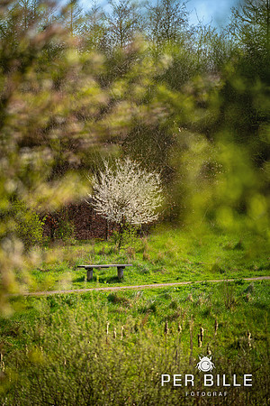 -Lweb - Fotograf Per Bille-20240414DSC07449-Edit