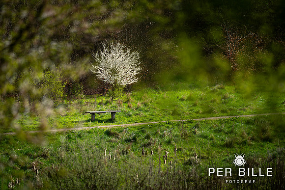 -Lweb - Fotograf Per Bille-20240414DSC07464