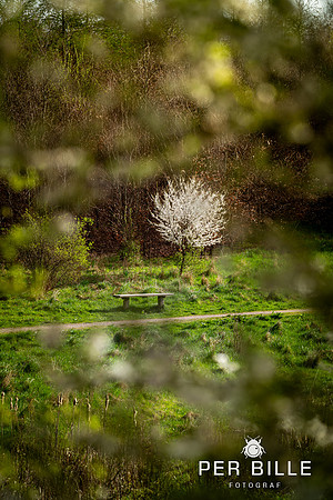 -Lweb - Fotograf Per Bille-20240414DSC07487