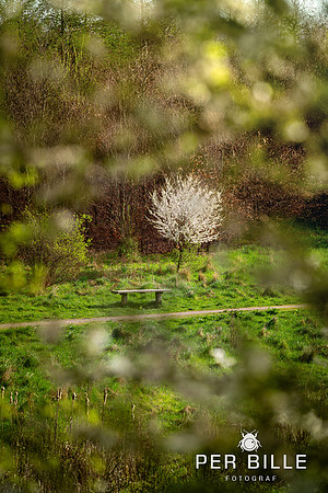 -Lweb - Fotograf Per Bille-20240414DSC07487-Edit