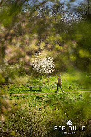 -Lweb - Fotograf Per Bille-20240414DSC07525