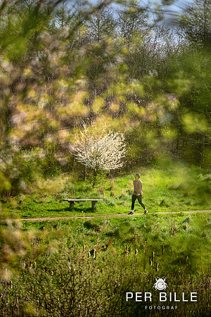 -Lweb - Fotograf Per Bille-20240414DSC07525-Edit