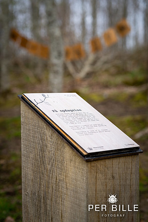 Anebjergskoven-Lweb - Fotograf Per Bille-20240413DSC07154