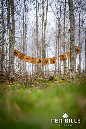 Anebjergskoven-Lweb - Fotograf Per Bille-20240413DSC07155