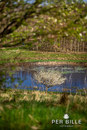 -Lweb - Fotograf Per Bille-20240414DSC07404