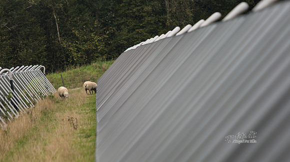 Gørding Varmeværk 2012- print - Fotograf_Per_Bille-20120927-_C8B8858