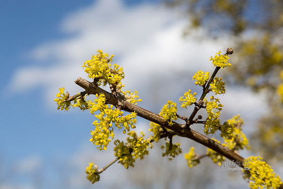 Gauerslund Fjernvarme 2012 - print - Fotograf_Per_Bille-20130417-_C8B2961