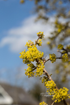 Gauerslund Fjernvarme 2012 - print - Fotograf_Per_Bille-20130417-_C8B2964