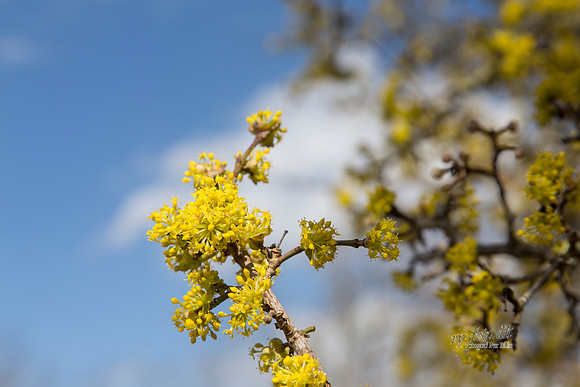 Gauerslund Fjernvarme 2012 - print - Fotograf_Per_Bille-20130417-_C8B2965