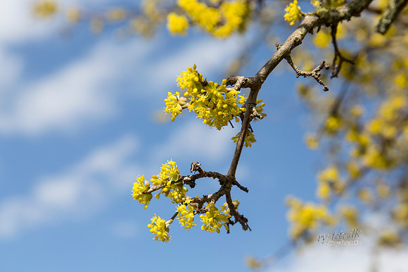 Gauerslund Fjernvarme 2012 - print - Fotograf_Per_Bille-20130417-_C8B2966