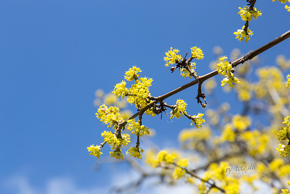 Gauerslund Fjernvarme 2012 - print - Fotograf_Per_Bille-20130417-_C8B2968